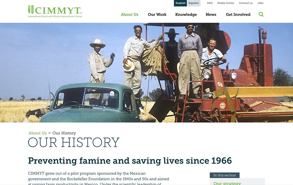 Screenshot of the new CIMMYT website